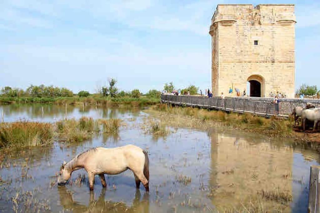 Maison Chaleureuse A 5 Mins Des Remparts Aigues-Mortes Exterior foto